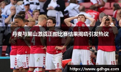 熊猫体育丹麦与黑山激战正酣比赛结果揭晓引发热议
